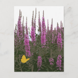 Carte Postale Fleurs et papillon