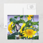 Carte Postale Fleurs et papillons - Queue d'avale (Devant / Derrière)