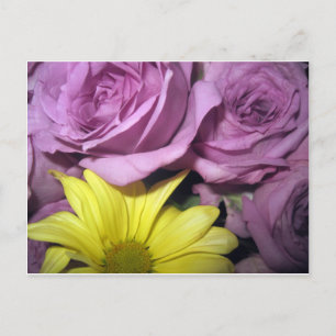 Carte Postale Fleurs Fleurs Daisy Roses Amour Destiny