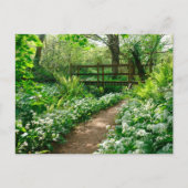 Carte Postale Fleurs | Fleurs sauvages blancs en forêt (Devant)