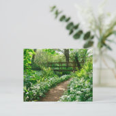 Carte Postale Fleurs | Fleurs sauvages blancs en forêt (Debout devant)