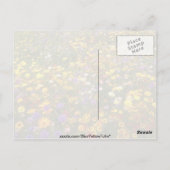 Carte Postale Fleurs Fleurs sauvages jaunes (Dos)