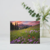 Carte Postale Fleurs | Fleurs sauvages violettes Colorado (Debout devant)