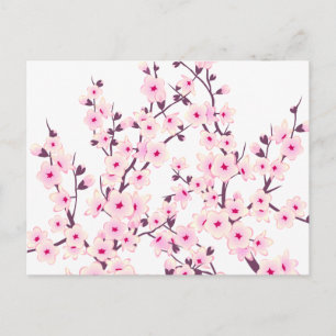 Carte Postale Fleurs florales de cerises (Sakura)