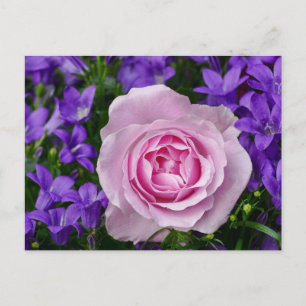 Carte Postale Fleurs Florales Élégantes Tulipe et Rose Photograp