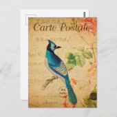 Carte Postale Fleurs florales vintages Jay Bleu (Devant / Derrière)