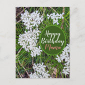 Carte Postale Fleurs fraîches vertes et blanches Joyeux Annivers (Devant)