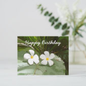 Carte Postale Fleurs Frangipani Plumeria sur l'Anniversaire vert (Debout devant)