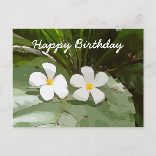 Carte Postale Fleurs Frangipani Plumeria sur l'Anniversaire vert