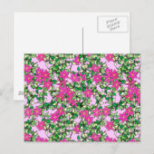 Carte Postale Fleurs fuchsia sur un fond rose pâle (Devant / Derrière)