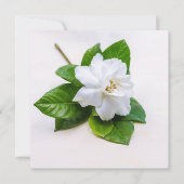 Carte postale Fleurs Gardenia Blanches (Devant)