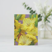 Carte postale Fleurs Gladiolus (Debout devant)