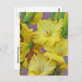 Carte postale Fleurs Gladiolus (Devant / Derrière)