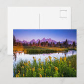 Carte Postale Fleurs | Grand Teton National Park, Wyoming (Devant / Derrière)