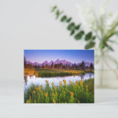 Carte Postale Fleurs | Grand Teton National Park, Wyoming (Debout devant)
