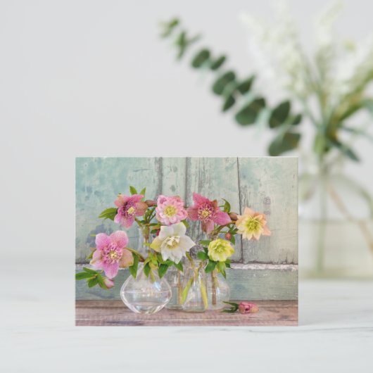 Carte Postale Fleurs | Hellebores dans des vases (Debout devant)