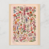 Carte Postale Fleurs historiques vintages (Devant)