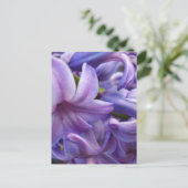 Carte postale Fleurs Hyacinth (Debout devant)