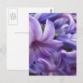 Carte postale Fleurs Hyacinth (Devant / Derrière)
