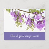 Carte Postale Fleurs Jacaranda dans fleurs en fleurs violet (Devant)