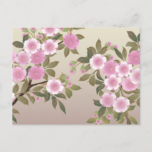 Carte Postale Fleurs japonaises de cerises (Devant)