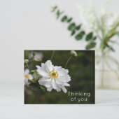 Carte Postale Fleurs Jardin d'anémones blanches pensant à vous (Debout devant)