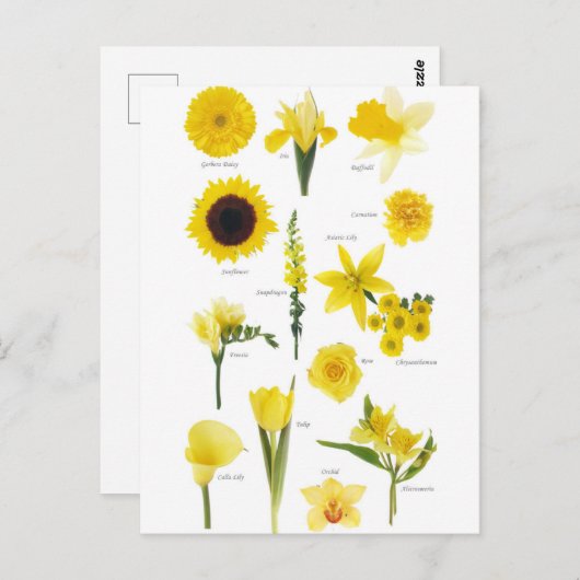 Carte Postale Fleurs jaune (Devant / Derrière)