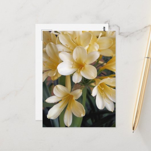 CARTE POSTALE FLEURS JAUNES (Devant/Arrière en situation)