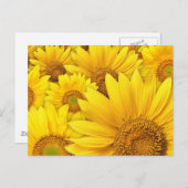 Carte Postale Fleurs jaunes (Devant / Derrière)