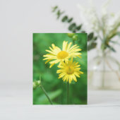 Carte postale Fleurs Jaunes (Debout devant)