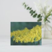 Carte Postale Fleurs Jaunes #13 (Debout devant)