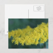 Carte Postale Fleurs Jaunes #13 (Devant / Derrière)