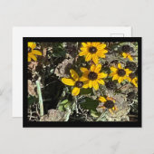 Carte postale Fleurs Jaunes avec bordure noire (Devant / Derrière)