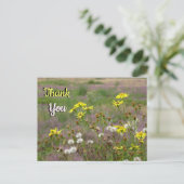 Carte postale Fleurs Jaunes et Blanches de la Land (Debout devant)