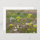 Carte postale Fleurs Jaunes et Blanches de la Land (Devant / Derrière)