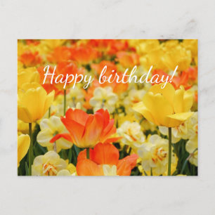 Carte Postale Fleurs jaunes et orangées