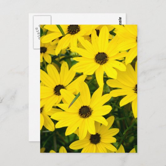 Carte Postale Fleurs Jaunes Lumineuses (Devant / Derrière)