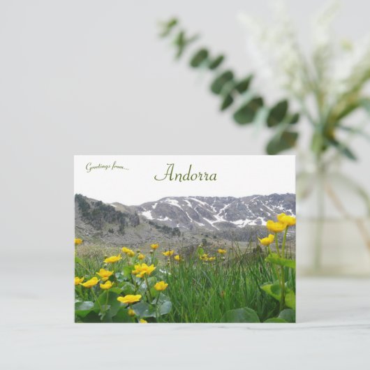 Carte Postale Fleurs jaunes près des Pyrénées Midi en Andorre (Debout devant)