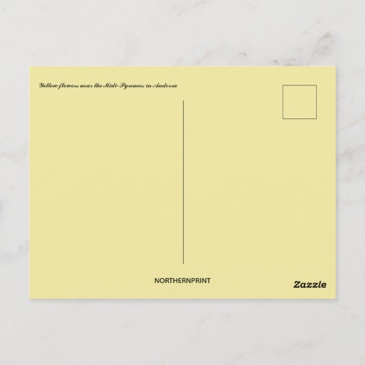 Carte Postale Fleurs jaunes près des Pyrénées Midi en Andorre (Dos)