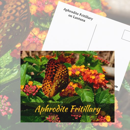 Carte Postale Fleurs Lantana de papillon Fritillaire Photographi