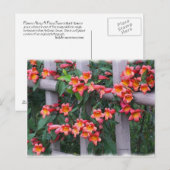 Carte Postale Fleurs le long de la clôture (Devant / Derrière)