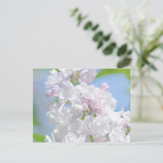 Carte Postale Fleurs Lilac (Debout devant)
