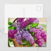 Carte Postale Fleurs Lilac de printemps roses et violettes dans  (Devant / Derrière)