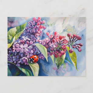 Carte Postale Fleurs Lilac Violet Vibrant Ladybug