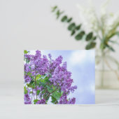 Carte Postale Fleurs Lilac Violet Vibrantes (Debout devant)