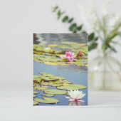 Carte Postale Fleurs Lilly Pond (Debout devant)