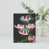 Carte Postale Fleurs Lily Roses Martagon (Debout devant)