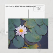 Carte Postale Fleurs Lotus (Devant / Derrière)