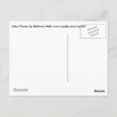 Carte Postale Fleurs Lotus (Dos)