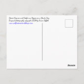 Carte Postale Fleurs Lupines Du Désert Bleu Et Pépites Oranges (Dos)